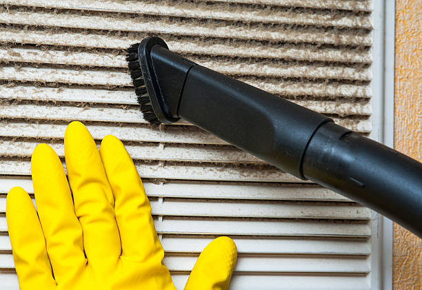 Best Home Air Vent Cleaning  in Franklin Farm, VA